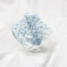 Load image into Gallery viewer, Rough Blue, Green & Purple Fluorite - The Gem Mine