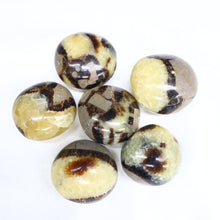 Load image into Gallery viewer, Septarian Nuggets - The Gem Mine