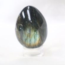 Load image into Gallery viewer, Labradorite Egg Carving - The Gem Mine