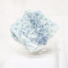 Load image into Gallery viewer, Rough Blue, Green &amp; Purple Fluorite - The Gem Mine
