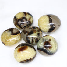 Load image into Gallery viewer, Septarian Nuggets - The Gem Mine
