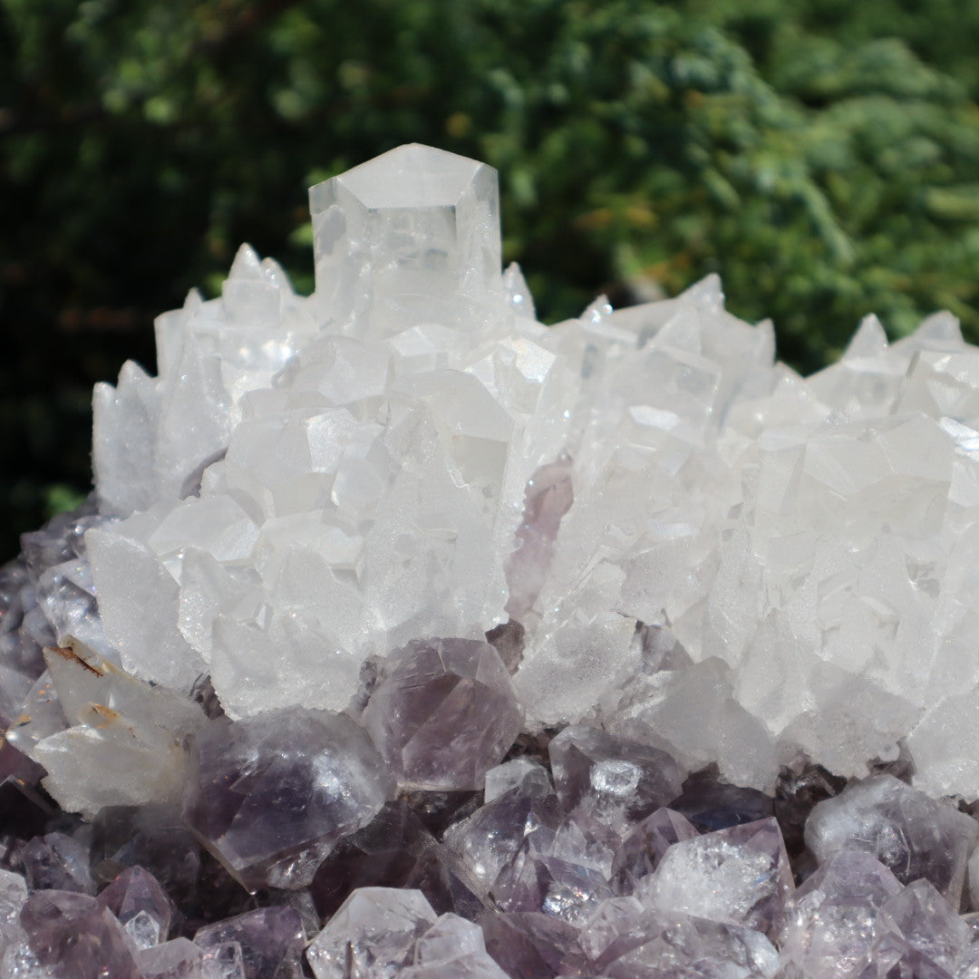 The Gem Mine NJ | Gemstones, Crystals, Jewelry The Gem Mine NJ | Gemstones, Crystals, Jewelry