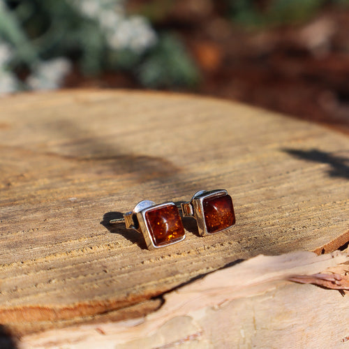 Sterling Silver and Baltic Amber Square Stud Earrings - The Gem Mine