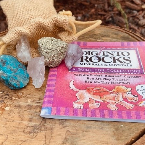 Kids’ “Dig Into Rocks” Guide and Rough Gemstome Set - The Gem Mine